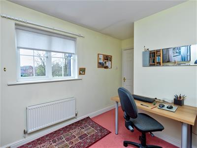 Picture 24